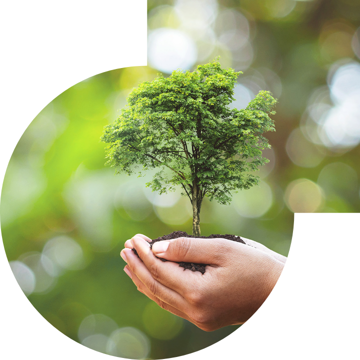 关怀人类、文化、环境与社会